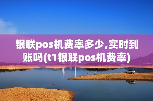 银联pos机费率多少,实时到账吗(t1银联pos机费率)