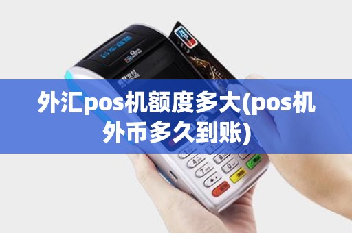 外汇pos机额度多大(pos机外币多久到账)