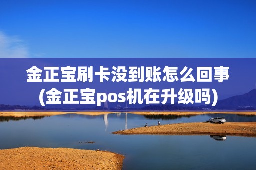 金正宝刷卡没到账怎么回事(金正宝pos机在升级吗)
