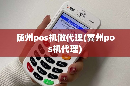 随州pos机做代理(冀州pos机代理)