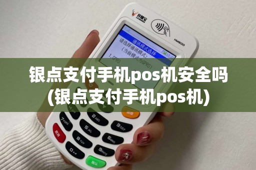 银点支付手机pos机安全吗(银点支付手机pos机)