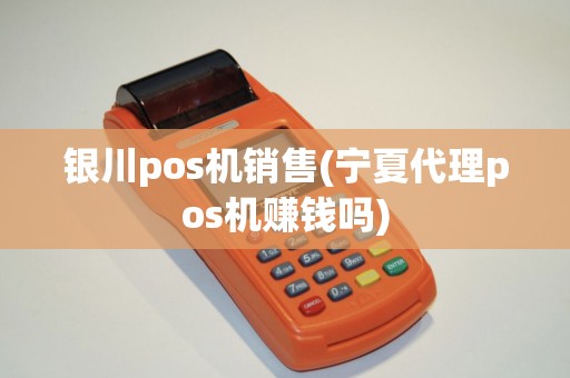 银川pos机销售(宁夏代理pos机赚钱吗)