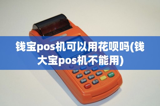 钱宝pos机可以用花呗吗(钱大宝pos机不能用)