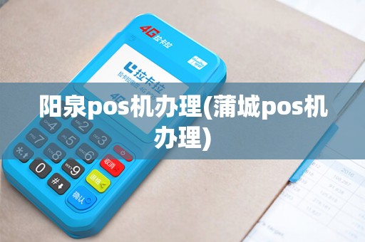阳泉pos机办理(蒲城pos机办理)