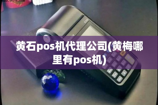 黄石pos机代理公司(黄梅哪里有pos机)