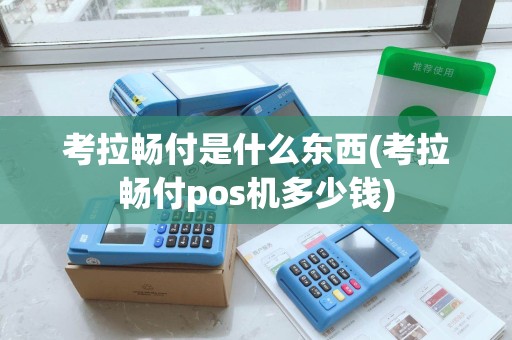 考拉畅付是什么东西(考拉畅付pos机多少钱)