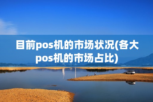 目前pos机的市场状况(各大pos机的市场占比)