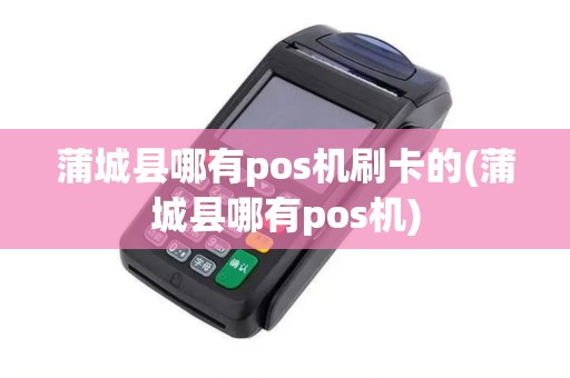 蒲城县哪有pos机刷卡的(蒲城县哪有pos机)
