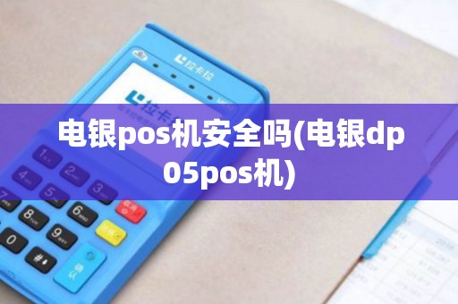 电银pos机安全吗(电银dp05pos机)