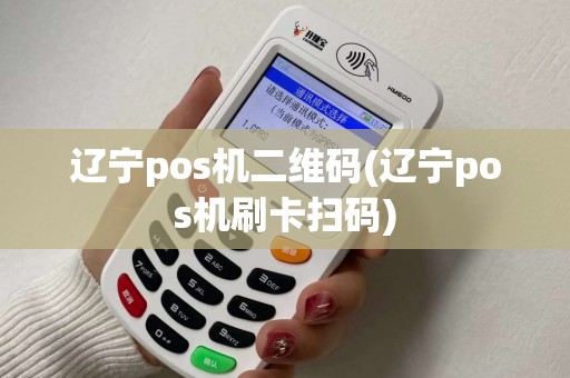 辽宁pos机二维码(辽宁pos机刷卡扫码)
