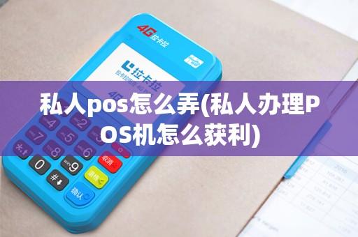 私人pos怎么弄(私人办理POS机怎么获利)