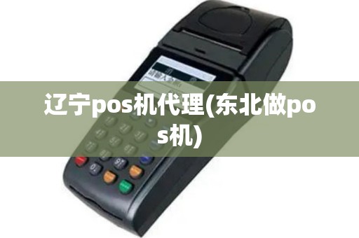 辽宁pos机代理(东北做pos机)