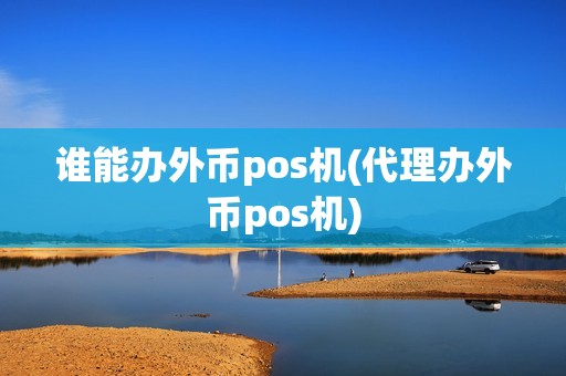 谁能办外币pos机(代理办外币pos机)