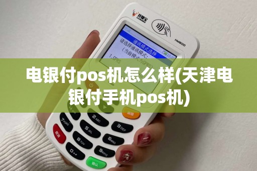 电银付pos机怎么样(天津电银付手机pos机)