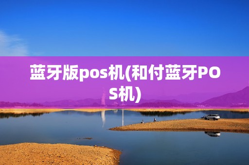 蓝牙版pos机(和付蓝牙POS机)