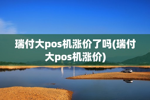 瑞付大pos机涨价了吗(瑞付大pos机涨价)