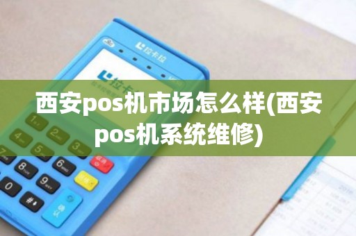 西安pos机市场怎么样(西安pos机系统维修)