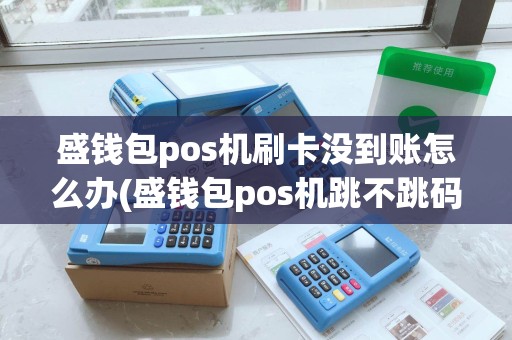 盛钱包pos机刷卡没到账怎么办(盛钱包pos机跳不跳码)