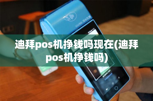 迪拜pos机挣钱吗现在(迪拜pos机挣钱吗)