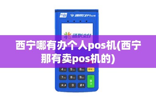 西宁哪有办个人pos机(西宁那有卖pos机的)