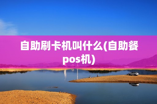 自助刷卡机叫什么(自助餐pos机)