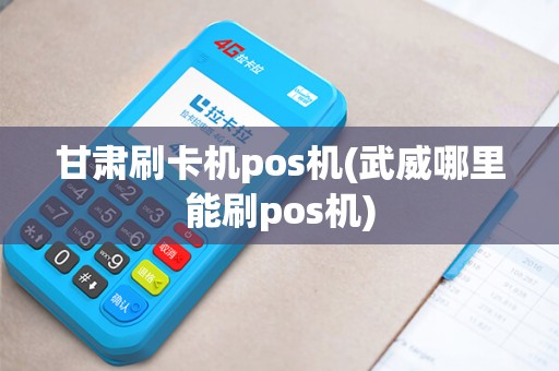 甘肃刷卡机pos机(武威哪里能刷pos机)