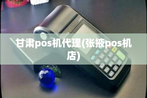 甘肃pos机代理(张掖pos机店)