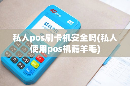 私人pos刷卡机安全吗(私人使用pos机薅羊毛)