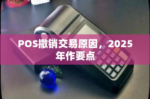 POS撤销交易原因，2025年作要点
