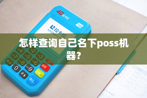 怎样查询自己名下poss机器？
