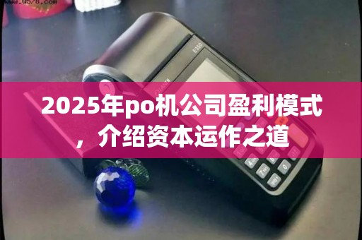 2025年po机公司盈利模式，介绍资本运作之道