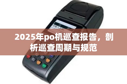 2025年po机巡查报告，剖析巡查周期与规范