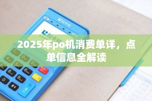 2025年po机消费单详，点单信息全解读