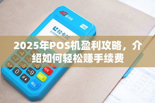 2025年POS机盈利攻略，介绍如何轻松赚手续费
