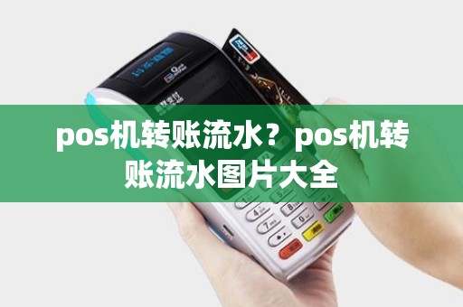 pos机转账流水？pos机转账流水图片大全