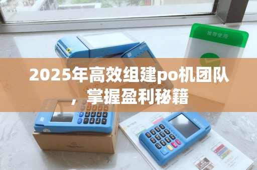 2025年高效组建po机团队，掌握盈利秘籍