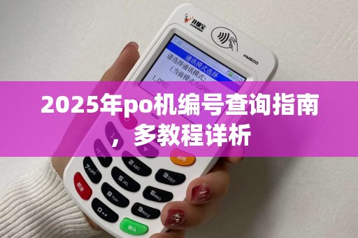 2025年po机编号查询指南，多教程详析