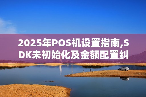 2025年POS机设置指南,SDK未初始化及金额配置纠错