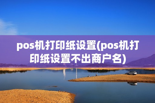 pos机打印纸设置(pos机打印纸设置不出商户名)