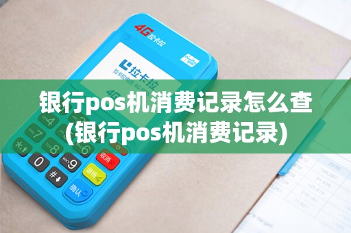 银行pos机消费记录怎么查(银行pos机消费记录)
