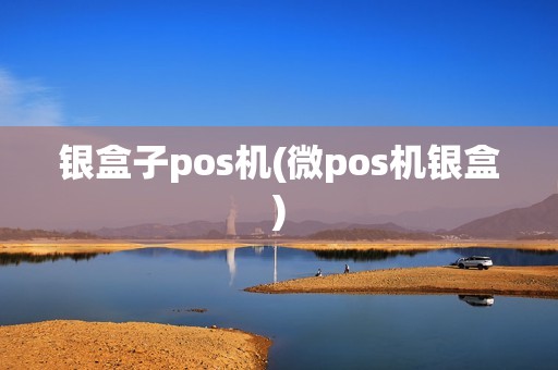 银盒子pos机(微pos机银盒)