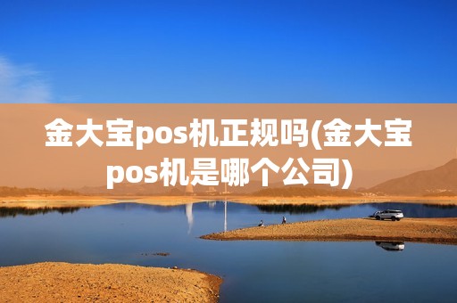 金大宝pos机正规吗(金大宝pos机是哪个公司)