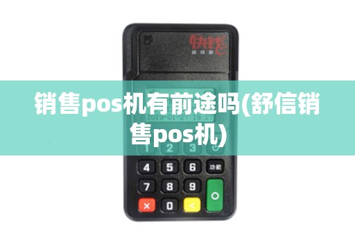 销售pos机有前途吗(舒信销售pos机)