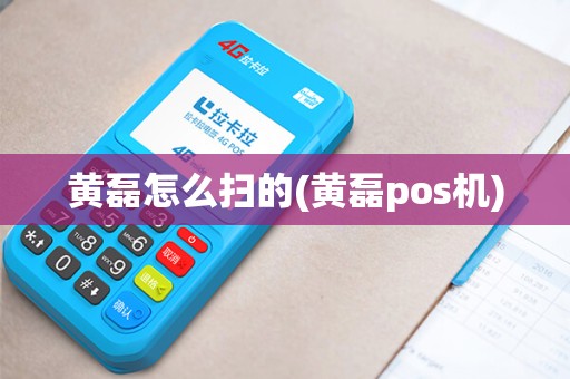 黄磊怎么扫的(黄磊pos机)