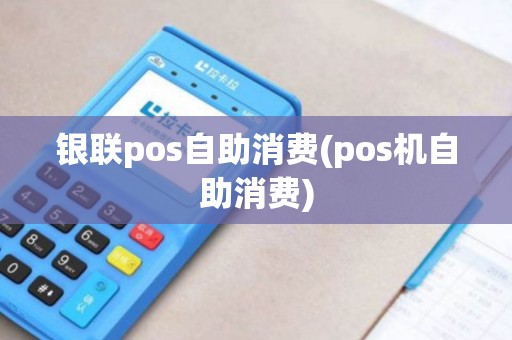银联pos自助消费(pos机自助消费)