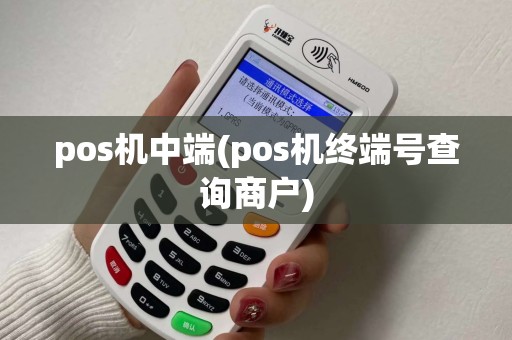 pos机中端(pos机终端号查询商户)