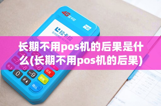 长期不用pos机的后果是什么(长期不用pos机的后果)