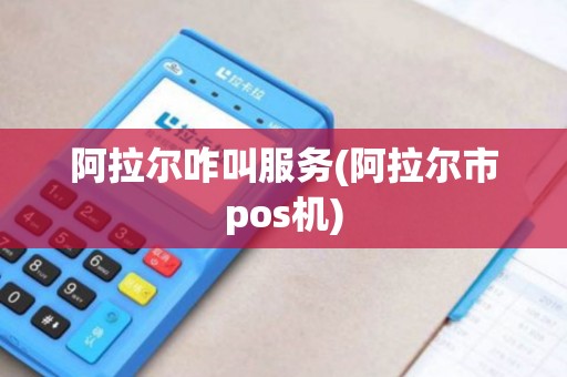 阿拉尔咋叫服务(阿拉尔市pos机)