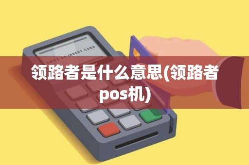 领路者是什么意思(领路者pos机)