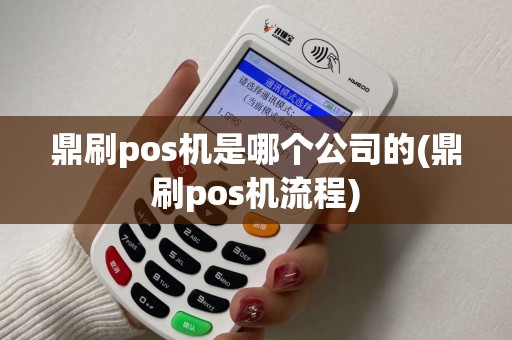 鼎刷pos机是哪个公司的(鼎刷pos机流程)